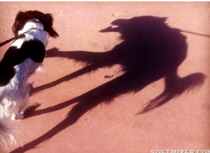 Шутки теней