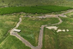 Почти 2 млн лет назад в Израиле уже были предки людей