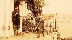 Подборка невероятных историй, которые на самом деле реальны