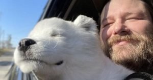 Очаровательные кадры для тех, у кого дефицит умиления и теплоты в душе