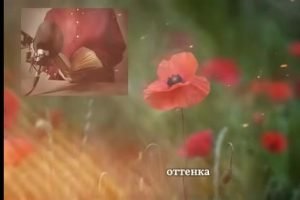 История сведёт тебя с ума! Александр Куприн | МАРИАННА |  Видео