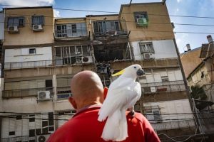 ФОТОГАЛЕРЕЯ: Последствия обстрелов в разных городах