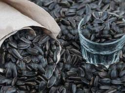 Запах жизни