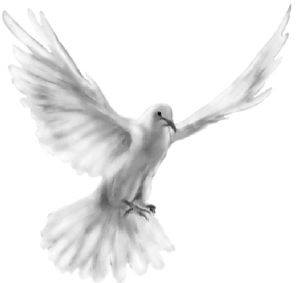 Мир сходит с ума.