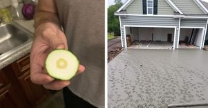 Закон подлости в действии! 19 жизненных подтверждений этому