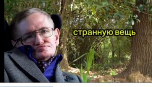 Деревья растут не из почвы?  Видео