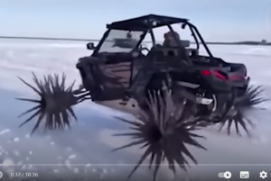 Если бы Этот Случай не Сняли на Камеру, Никто бы не Поверил  Видео