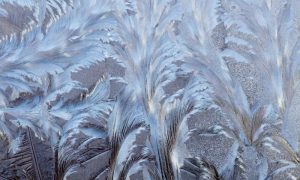 Как называют узоры, которые мороз рисует на окнах?