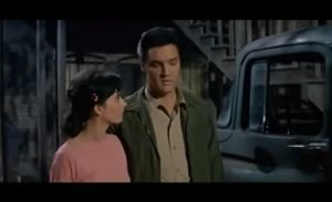 Дикие в стране I Музыкальный фильм  Видео