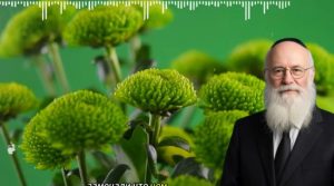 " Еврейская мудрость о которой никто не говорит»  Видео