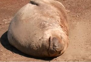 Наша Земля Наши океаны