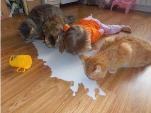 Ты не ты, когда голоден