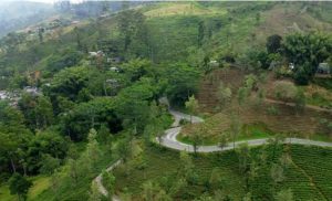 Остров для двоих. Дикие путешествия по Шри-Ланке  Видео