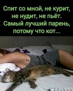 Юмор