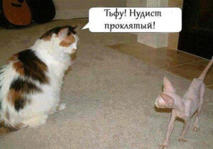 "НУДИСТ ПРОКЛЯТЫЙ !"