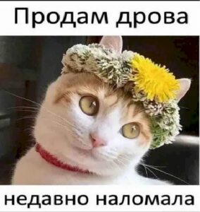 Юмор