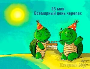 ДЕНЬ ЧЕРЕПАХИ!