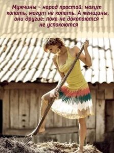 Юмор