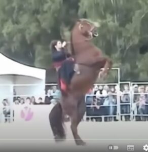 Лезгинка на коне!!!  Видео