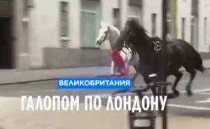 Галопом по Лондону: кавалерийские лошади отправились в "самоволку".