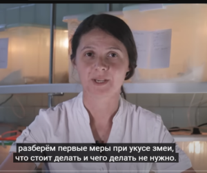 Что делать если вас укусила ГАДЮКА / Первая помощь при укусе гадюки / Змеелов — ученый  Видео