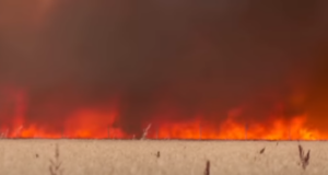 «Апокалиптическая» жара: температурный рекорд Британии, горящие поля в Испании, эвакуация во Франции  /СКР/  Видео