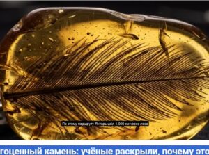Янтарь — не просто драгоценный камень: учёные раскрыли, почему это «древний пластик» из прошлого  Видео