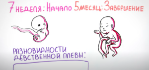Зачем нужна девственность?