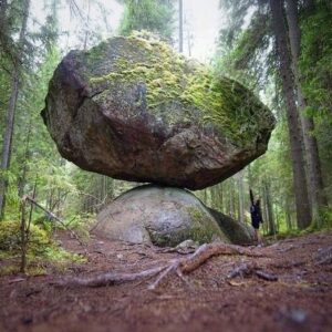 Чудо в лесах Финляндии.