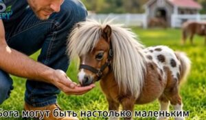 15 Самых Миниатюрных Лошадей в Мире  Видео